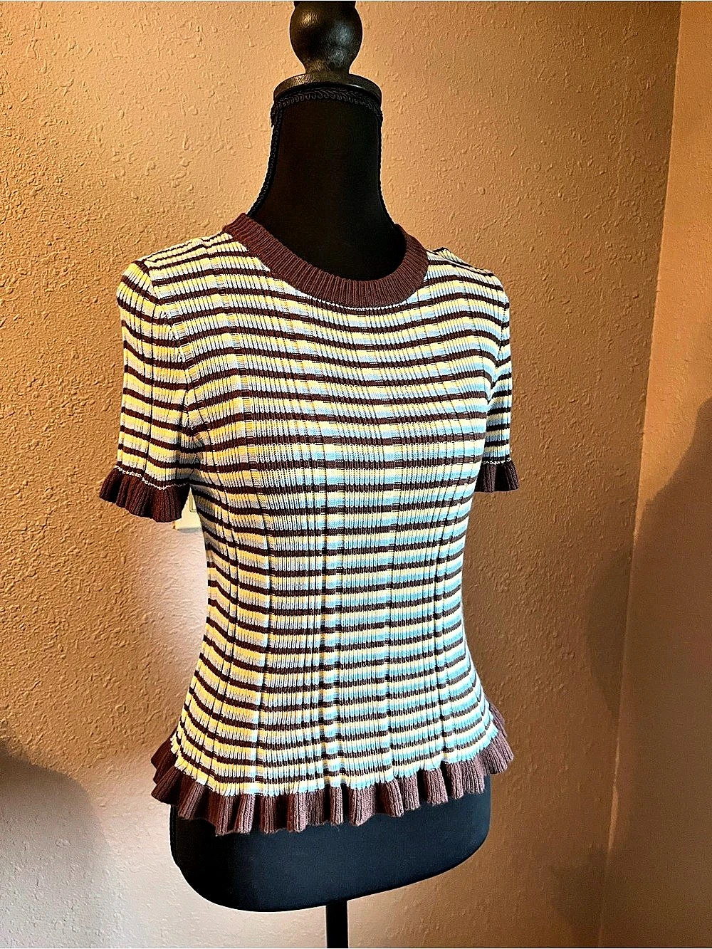 Altar'd State Striped Short Sleeve Top in Blue & Brown Size Large NWT